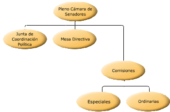 Conformaci&oacute;n C&aacute;mara de Senadores